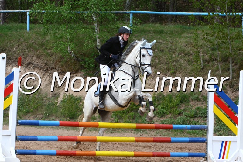 004M2265_Daikir_Stilspring WB.JPG